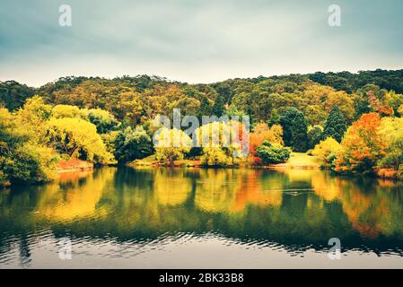 Scenic autumn view of Mount Lofty botanic garden by the pond, Adelaide Hills, South Australia Stock Photo