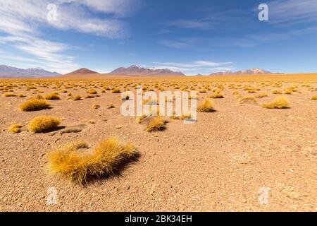 Stunning panoramic view of famous wild Siloli Desert. Beautiful landscape of spectacular Bolivian Andes and the Altiplano along the scenic road betwee Stock Photo