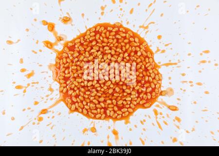 Baked beans splattered in a mess on a white background. Another version including a tin see image ID 2BK39J8 Stock Photo