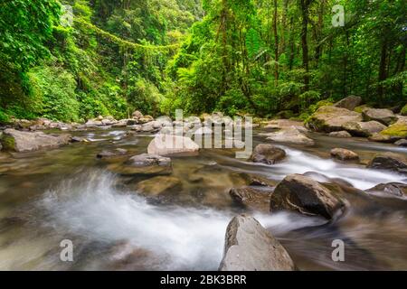 Forest river near La Fortuna Waterfall, Alajuela Province, Costa Rica