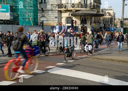 Cyclists and pedestrians crossing at an intersection, Amsterdam, North Holland, Netherlands Stock Photo