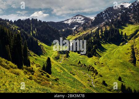 Beautiful green forest hills and Snowy Mountain in the valley against cloudy sky in Kazakhstan Stock Photo