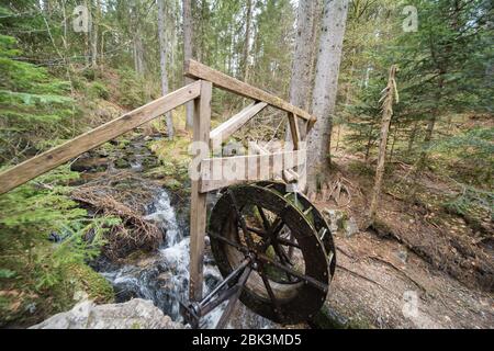 water wheel in the forest in germany.