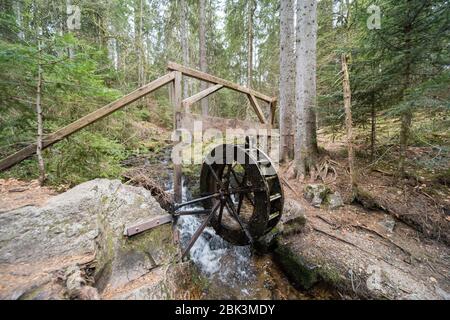 water wheel in the forest in germany.