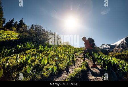 Silhouette of tourist in with backpack walking in the mountains. Outdoor travel concept Stock Photo