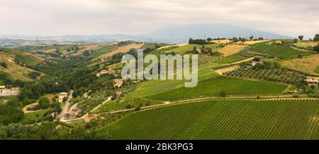 Hills of the Marches in  spring. agriculture fields. Rural landscape. Italy Stock Photo