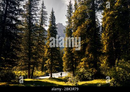 Tourist with big backpack near the river at green mountain valley with giant fir trees in Karakol national park, Kyrgyzstan Stock Photo
