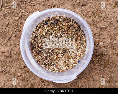 Bucket with a mix of insect friendly wild flowers seeds. Stock Photo