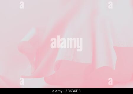 Pink gradient abstract background. Soft paper delicate background Stock Photo