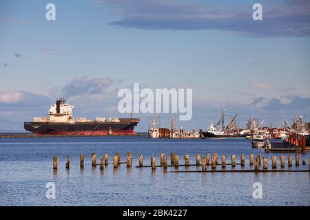 Lightly loaded container ship departing the Fraser River estuary past Steveston Harbour in British Columbia Stock Photo