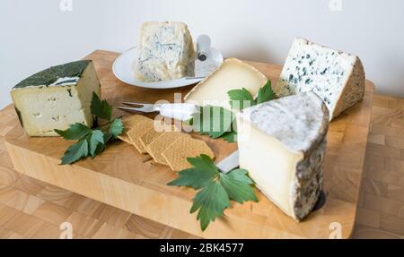 Cheeseboard food presentation display of artisan fine cheeses: Garlic Yarg, Gorgonzola, Ossau Iraty, Blue d'Auvergne and Gorwydd Caerphilly cheese Stock Photo