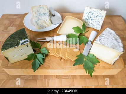 Cheeseboard food presentation display of artisan fine cheeses: Garlic Yarg, Gorgonzola, Ossau Iraty, Blue d'Auvergne and Gorwydd Caerphilly cheese Stock Photo