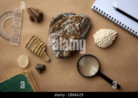 Stone samples at geological laboratory. Geology rock laboratory. Laboratory for analysis of geological soil materials, stones, minerals, rocks samples Stock Photo