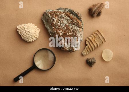 Stone samples at geological laboratory. Geology rock laboratory. Laboratory for analysis of geological soil materials, stones, minerals, rocks samples Stock Photo