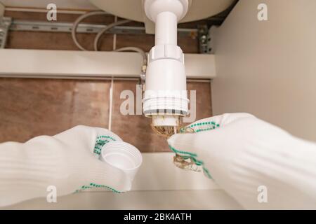 Professional male plumber eliminates blockage in siphon of sink drain pipe Stock Photo
