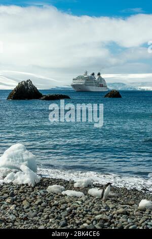 Cruise ship Seabourn Quest at the Polish research station Arctowski on King George Island in the South Shetland Island group, Antarctica with Adelie p Stock Photo