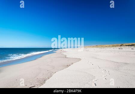 An empty beach landscape on the national seashore in Cape Cod Massachusetts on sunny blue sky day. Stock Photo