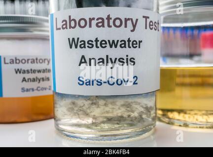 Wastewater samples, analysis of sars-cov-2 virus in patients infected by human coronavirus 229E, conceptual image Stock Photo