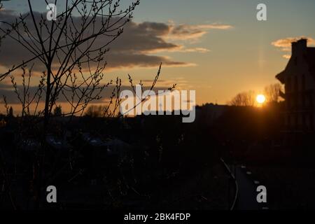 Tree silhouette and sunset in the background during spring time. Stock Photo