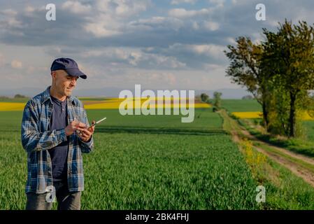 Modern Farmer Researcher Using Digital Tablet at Agricultural Field. Stock Photo