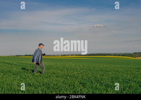 Modern Farmer Researcher Using Digital Tablet at Agricultural Field. Stock Photo