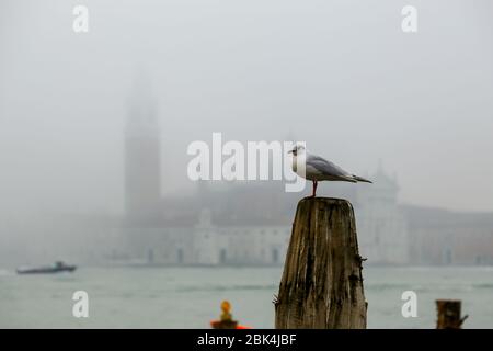 venice, Italy-february.23.2020: morning foggy day before covit 19 pandemic Stock Photo