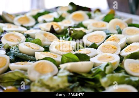 Hard boiled eggs and lettuce beautifully presented on a tray Stock Photo
