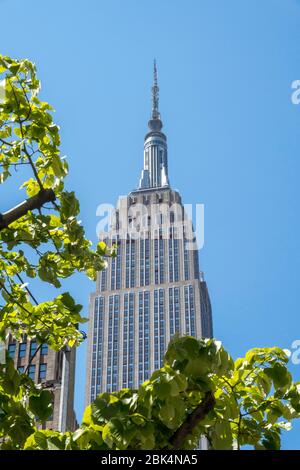 EMPIRE STATE BUILDING (©SHREVE LAMB & HARMON 1931) MANHATTAN NEW YORK ...