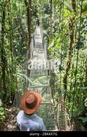 Man standing on hanging bridge in rainforest, La Fortuna, Alajuela province, Costa Rica, Central America, Stock Photo