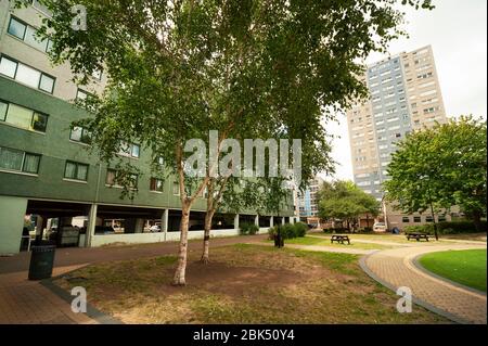 Broadwater Farm high-density social housing / council estate in Tottenham, North London, UK, Jul 2015 Stock Photo