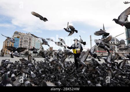 Istanbul, Turkey. 1st May, 2020. A municipal officer wearing a protective mask feeds pigeons at the Taksim Square during a 3-day curfew imposed by the Turkish authorities as part of efforts to stem the spread of the coronavirus in Istanbul. Credit: Jason Dean/ZUMA Wire/Alamy Live News Stock Photo