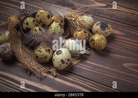 Quail eggs and feathers in a clay plate on a dark wooden background Stock Photo