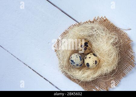 Quail eggs in a nest on a white wooden background. copy space Stock Photo