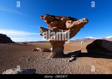 Arbol de Piedra (rock or stone tree) in the Siloli Desert. Snow-capped volcanoes and desert landscapes in the highlands of Bolivia. Andean landscapes Stock Photo