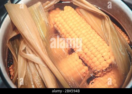 boiled corn on cobs in the pan Stock Photo