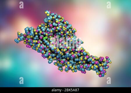 Hantavirus (Hantaan virus) membrane fusion glycoprotein Gc, asymmetric unit, computer illustration. The surface molecule which is responsible for virus entry into the cell. Stock Photo