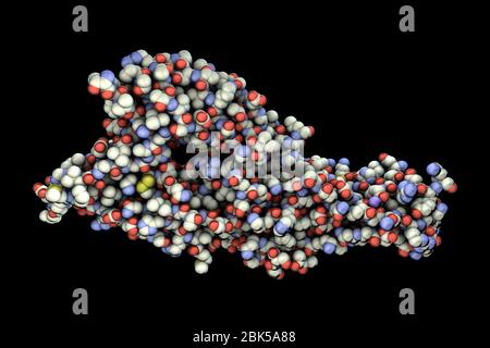 Hantavirus (Hantaan virus) membrane fusion glycoprotein Gc, asymmetric unit, computer illustration. The surface molecule which is responsible for virus entry into the cell. Stock Photo