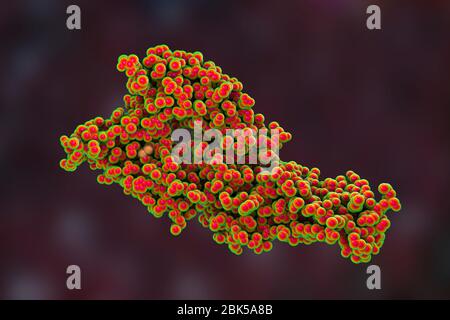 Hantavirus (Hantaan virus) membrane fusion glycoprotein Gc, asymmetric unit, computer illustration. The surface molecule which is responsible for virus entry into the cell. Stock Photo