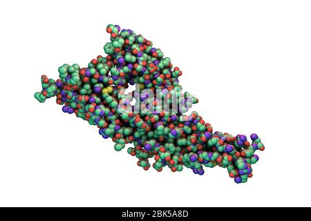 Hantavirus (Hantaan virus) membrane fusion glycoprotein Gc, asymmetric unit, computer illustration. The surface molecule which is responsible for virus entry into the cell. Stock Photo