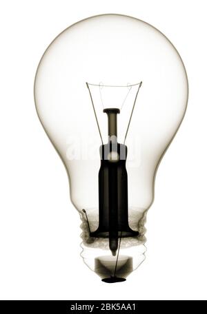 Light bulb, X-ray. Stock Photo