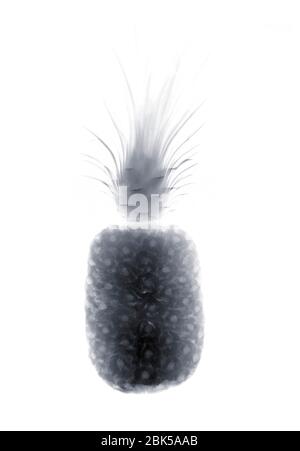 Pineapple, X-ray. Stock Photo