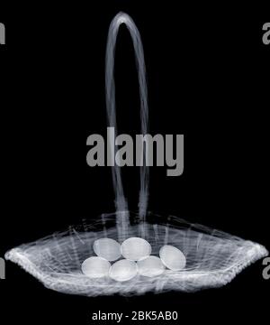 Wicker basket carrying or holding eggs, X-ray. Stock Photo