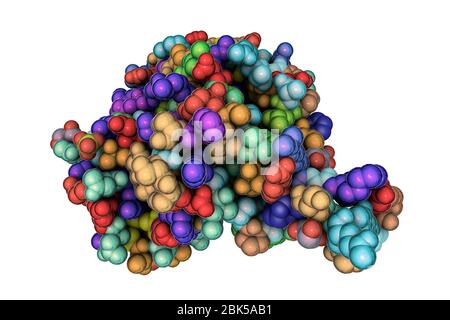 Hantavirus (Hantaan virus) envelope glycoprotein Gn, asymmetric unit, computer illustration. The molecule which forms surface spikes of the virus and is responsible for host cell entry. Stock Photo