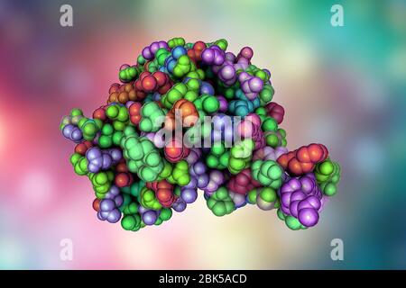 Hantavirus (Hantaan virus) envelope glycoprotein Gn, asymmetric unit, computer illustration. The molecule which forms surface spikes of the virus and is responsible for host cell entry. Stock Photo