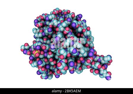 Hantavirus (Hantaan virus) envelope glycoprotein Gn, asymmetric unit, computer illustration. The molecule which forms surface spikes of the virus and is responsible for host cell entry. Stock Photo