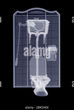 Toilet bowl flush. Close up Stock Photo - Alamy