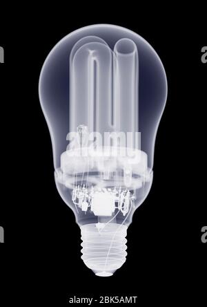 Rounded light bulb on black background, X-ray. Stock Photo