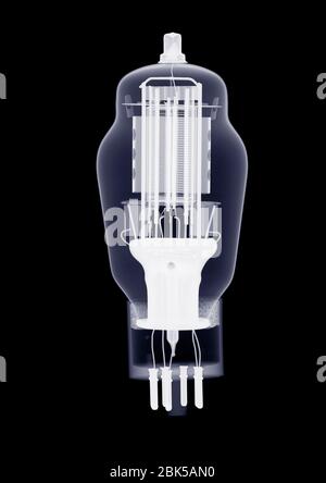 Light bulb on black background, X-ray. Stock Photo