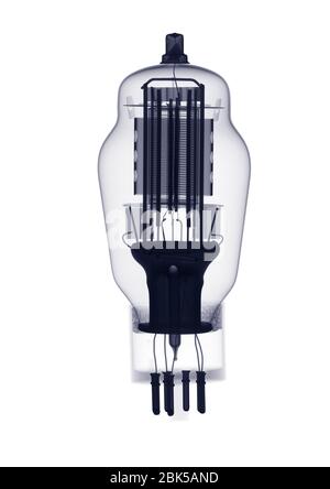 Light bulb on a white background, X-ray. Stock Photo