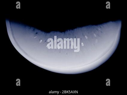 Slice of watermelon with pips, X-ray. Stock Photo